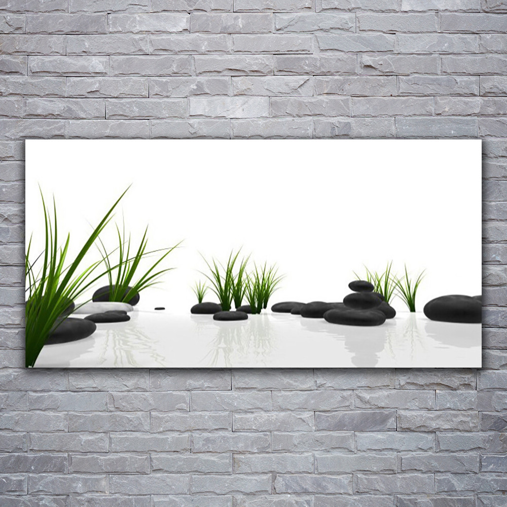 Tableau sur verre moderne horizontal 120x60 tableau décoratif herbe verte et galets de rivière