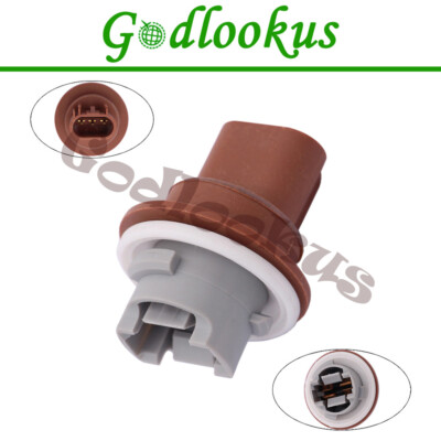 Genuine Chrysler Park & Turn Signal Socket – Part #68030801AA For Dodge Caravan & Chrysler Town & Country
