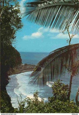 AK - Martinique - Macouba - Atlantikklippen - CPM - siehe Sc