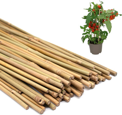 50PCS Plant Stakes,Natural Bamboo Stakes,Garden Stakes for Indoor and Outdoor Pl