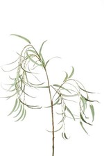 artplants Kunststoff Zweig Trauerweide VLADIMIRA, grün, 110cm