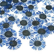 60er-Pack Echte Trockenblumen f&uuml;r Harz, DIY, Blau