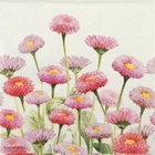 4x Single Paper Napkins for Decoupage and Party - Painted Bellis