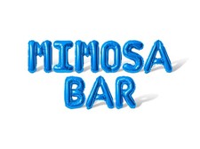 MIMOSA BAR Letter  Balloon Banner - Bachelorette Party, Hen Party Decorations