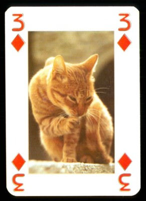 1 x playing card Beautiful Cat Series - see photograph - 3 of Diamonds S34