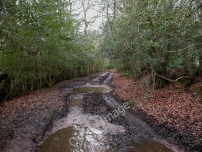 Photo 6x4 Battramsley, Jealous Lane Shirley holms Not so much a lane as a c2010