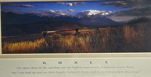 Susan G. Drinker Art - Signed Print, Inspirational Lithograph “life Goals” - Picture 2 of 6