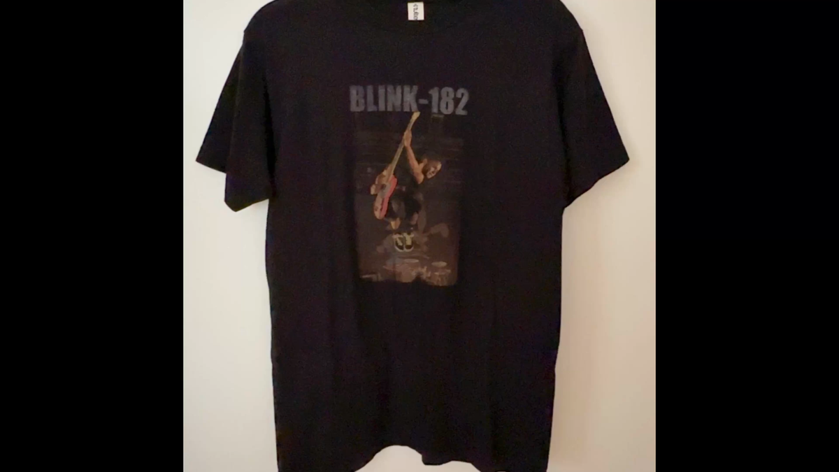 Vintage Blink 182 2001 Tour Tee Shirt Take Off Your Pants & Jacket
