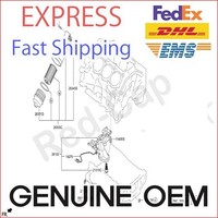 Original OEM ÖLpumpe Magnetventil 213163LAA0 FüR Hyundai Palisade KIA Cadenza