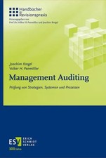 Management Auditing Prüfung von Strategien, ...