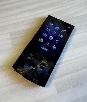 SONY Walkman NW-A855 Black 16GB Digital Music Player Used Tested