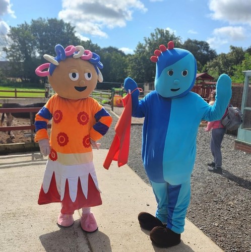 Mascots Of Cheshire - Picture 13 of 24
