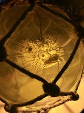 NEW Yellow Glass Float W/Real Pufferfish Yellow LED Bulb Tiki bar Decor