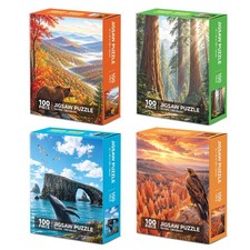 4 Pack National Parks 100 Piece Jigsaw Puzzles for Adults Seniors 11 x 15 Inch