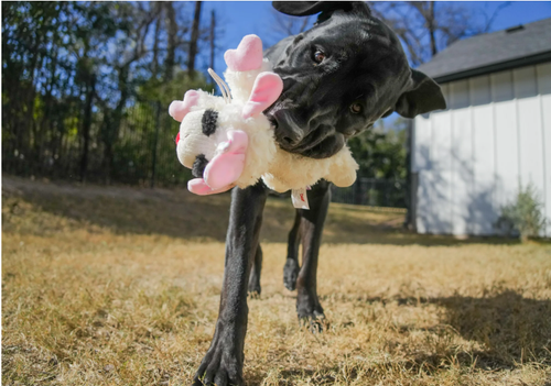 NEW Easter Holiday Lamb Chop by Multipet, Plush Squeaker Dog Toy, Pink or Purple - Picture 7 of 7