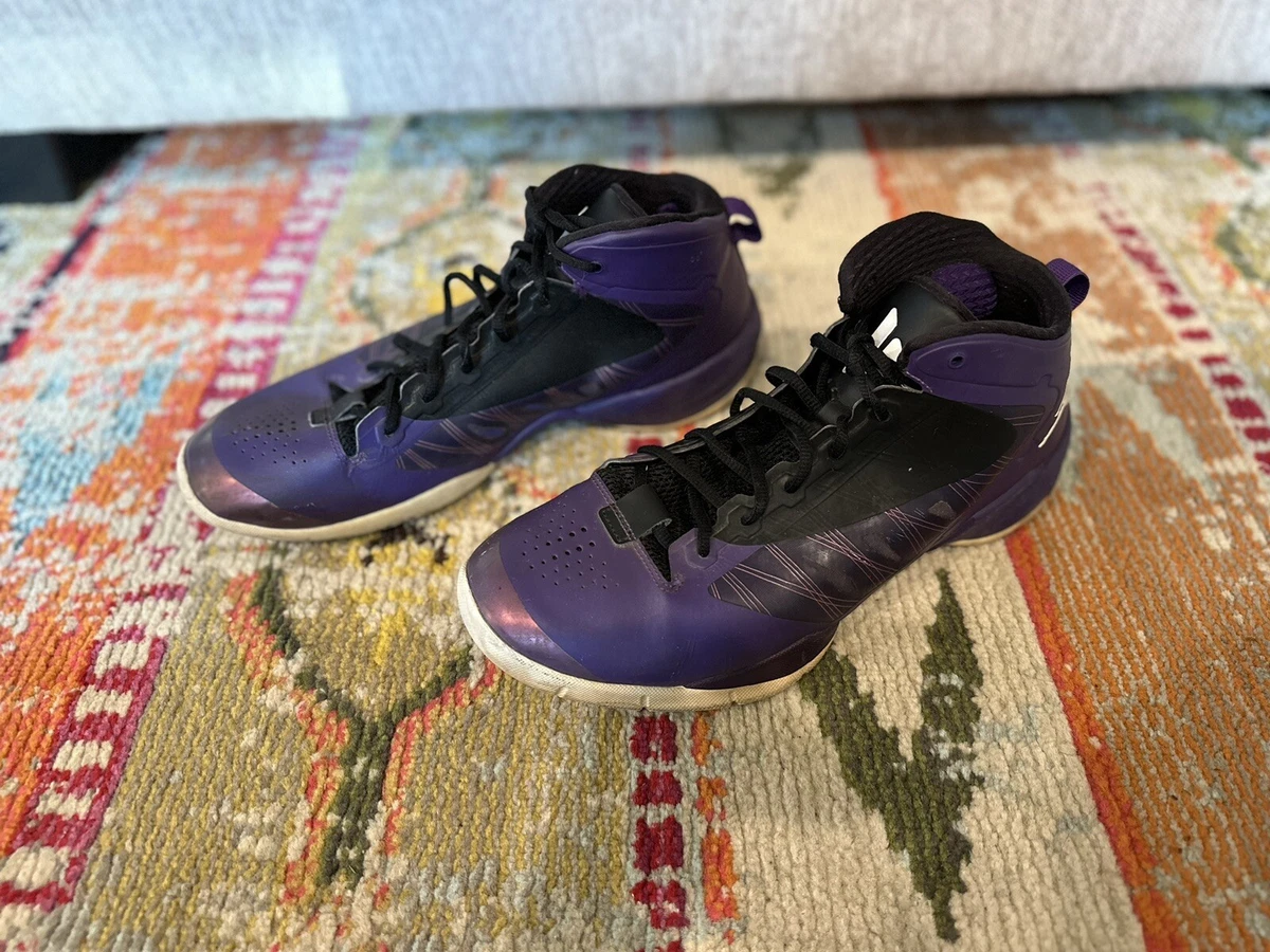 Jordan Fly Wade 2 EV Club Purple for Sale | Authenticity