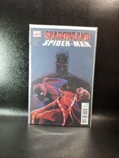 Marvel Shadowland Spider-Man #1