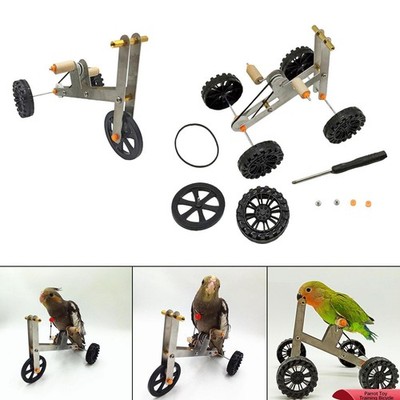 Papageienfahrrad Spielzeug Papagei Trainingsspielzeug kognitive Fähigkeiten und körperliche Aktivität Requisite