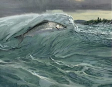 William Goadby Lawrence 1950's - STRIPED BASS - 13x19 Print Sporting Art