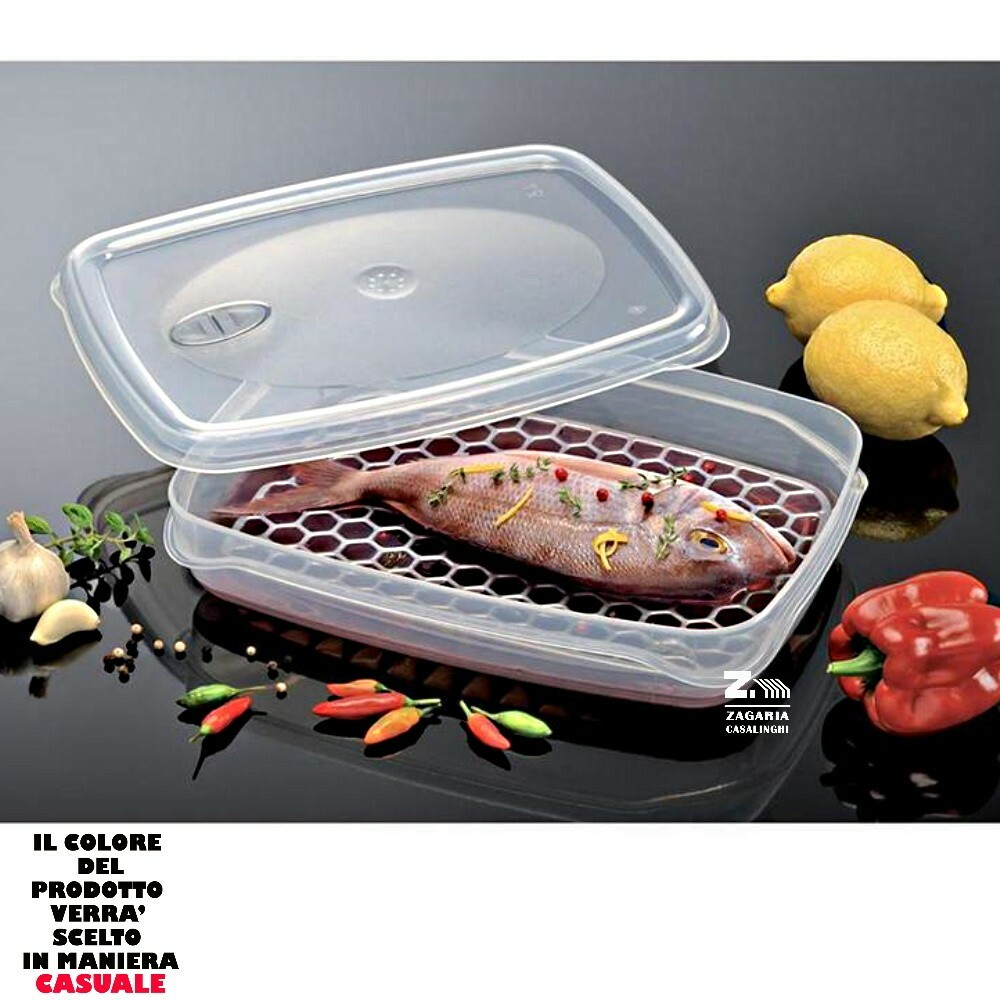 CONTENITORE RETTANGOLARE PER ALIMENTI CON GRIGLIA INTERNA FRESKA GRIL LT. 2,5