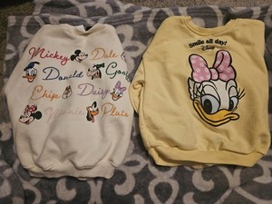 Zara Sweatshirts Size 2T