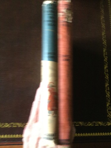 Little Jack Rabbit and The Big Brown Bear, David Cory,1st Ed 1921 DUST COVER - Picture 3 of 12