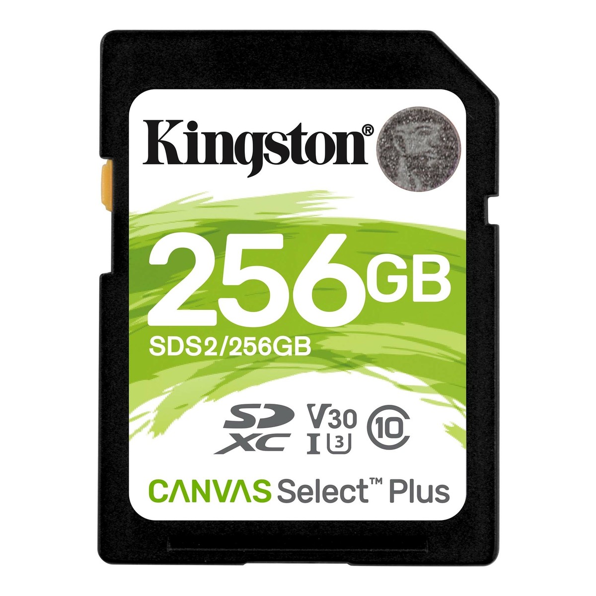 Micro Sd Card 256GB Kingston classe 10 Canvas