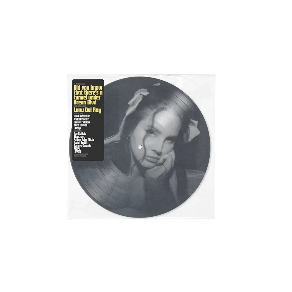 Cantor e Compositor Discos de vinil Pop Lana Del Rey