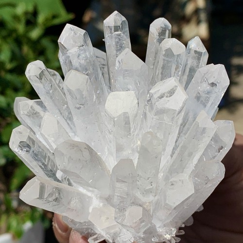 329G Newly discovered white phantom quartz crystal mineral sample restoration - 第 12/15 張圖片