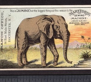 Hartford Weed Sewing Machine 1880's Jumbo Biggest Elephant Victorian Trade Card