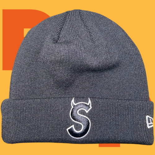 Box Logo Beanie — Manning Signs : Custom Murals & Gold Leaf