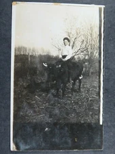 Postcard RPPC Young Boy Wearing Dress Clothes Riding A Oxen Or Cow B2591