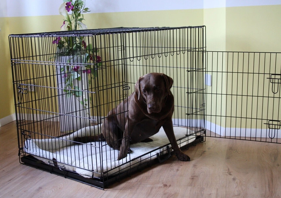 MyPets® KOMPLETTSET Faltbare Hundegitterbox Hundetransportbox Hundekäfig Käfig - Bild 2 von 4