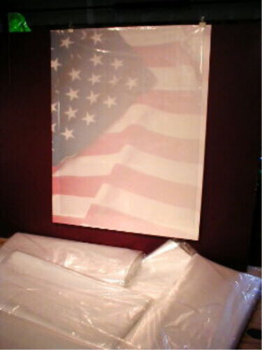 BEST Poly Bags 2 mil Sleeves for Newspapers Posters Prints ART&ADS 16"x24" 25ct