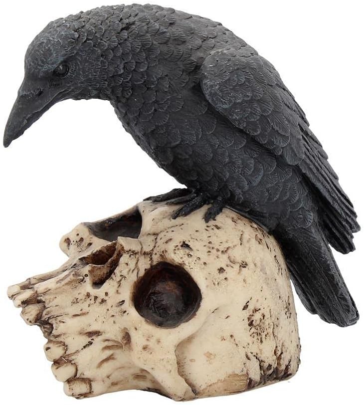 Nemesis Now Ravens Remains Figurine 13cm, Crow Skull Gothic Ornament, Black