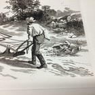 Picture 4 of 15