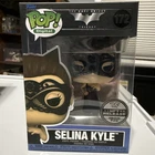 Funko Digital Pop! Vinyl: DC Universe - Selina Kyle (Digital Release) - #172