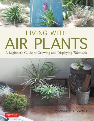 Living with Air Plants: A Beginner's Guide to Growing and Displa