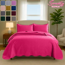 Soft Quilt Bedspread Coverlet Bedding Throw Reversible Comforter set with Pillow