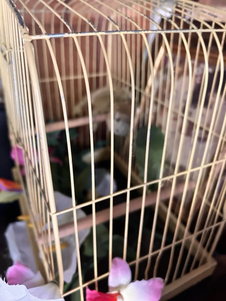 Vintage Antique Hanging or Tabletop Bird Cage CROWN Perch & Swing - Image 4 of 4