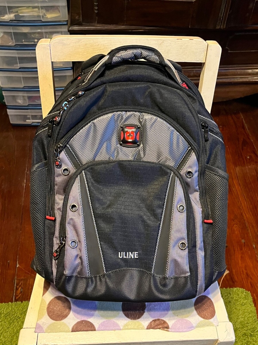 SwissGear Synergy Backpack for 16