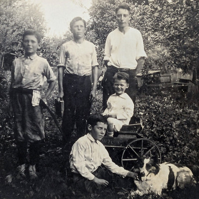 Antique Photo Boys Enjoying The Outdoors Wagon And Dog 1917