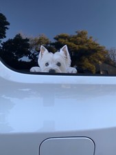 Car Window Westie Dog Decal Car Window Westie Dog Decal