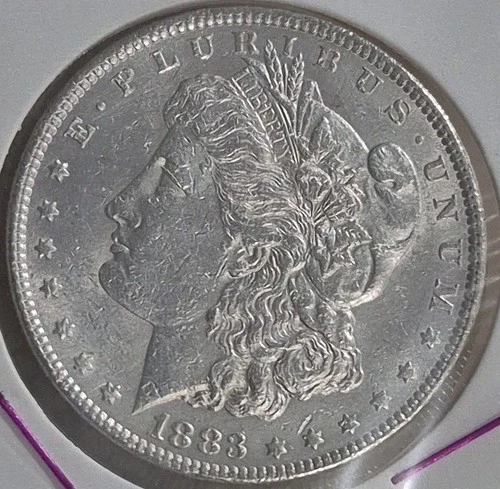 1886-P Morgan Silver Dollar NO RESERVE High Bid Wins Private~Collection #1942