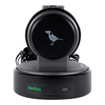 BirdDog Eyes P100 NDI PTZ Camera