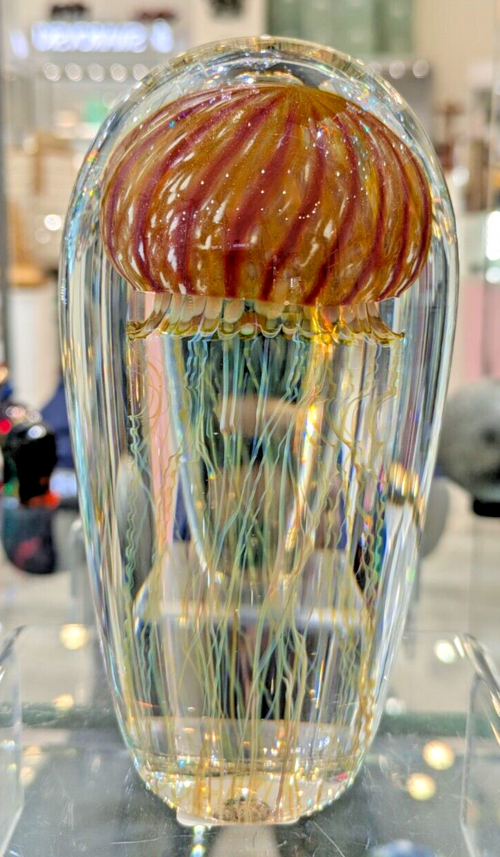 Satava Jellyfish 5 1/2