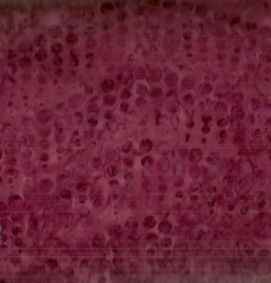 Tonga batik raspberry bubbles Timeless Treasures fabric