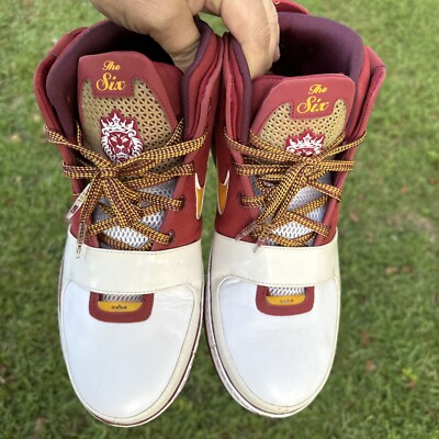 Nike Air Zoom Max LeBron James VI 6 PE HWC Hardwood Classic