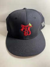Fort Wayne Tincaps The Game Brand Hat Minor League Baseball