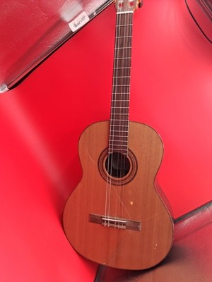 kremona Fiesta Fc guitar